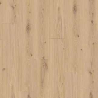 iD 55 – Delicate Oak ALMOND 24513092